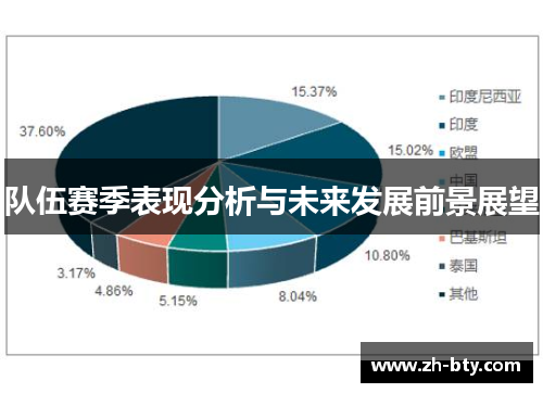 队伍赛季表现分析与未来发展前景展望